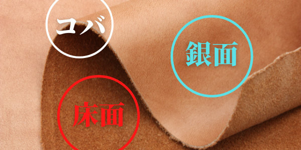 革の表裏について