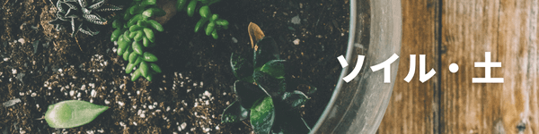 テラリウムおすすめの土