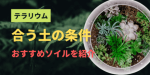 テラリウムにおすすめのソイル