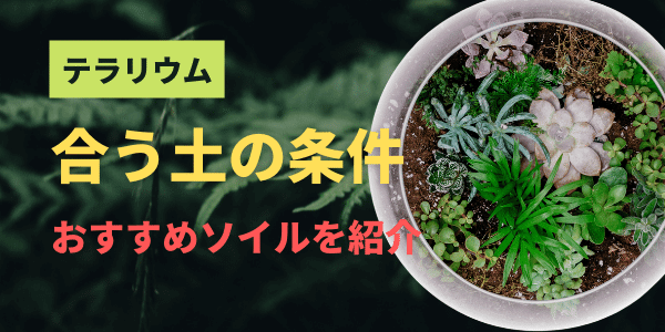 テラリウムにおすすめのソイル
