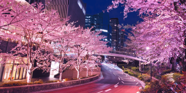 東京ミッドタウンの夜