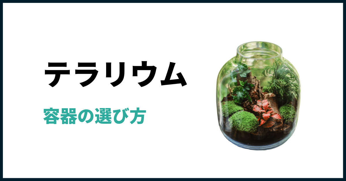 テラリウムの容器の選び方